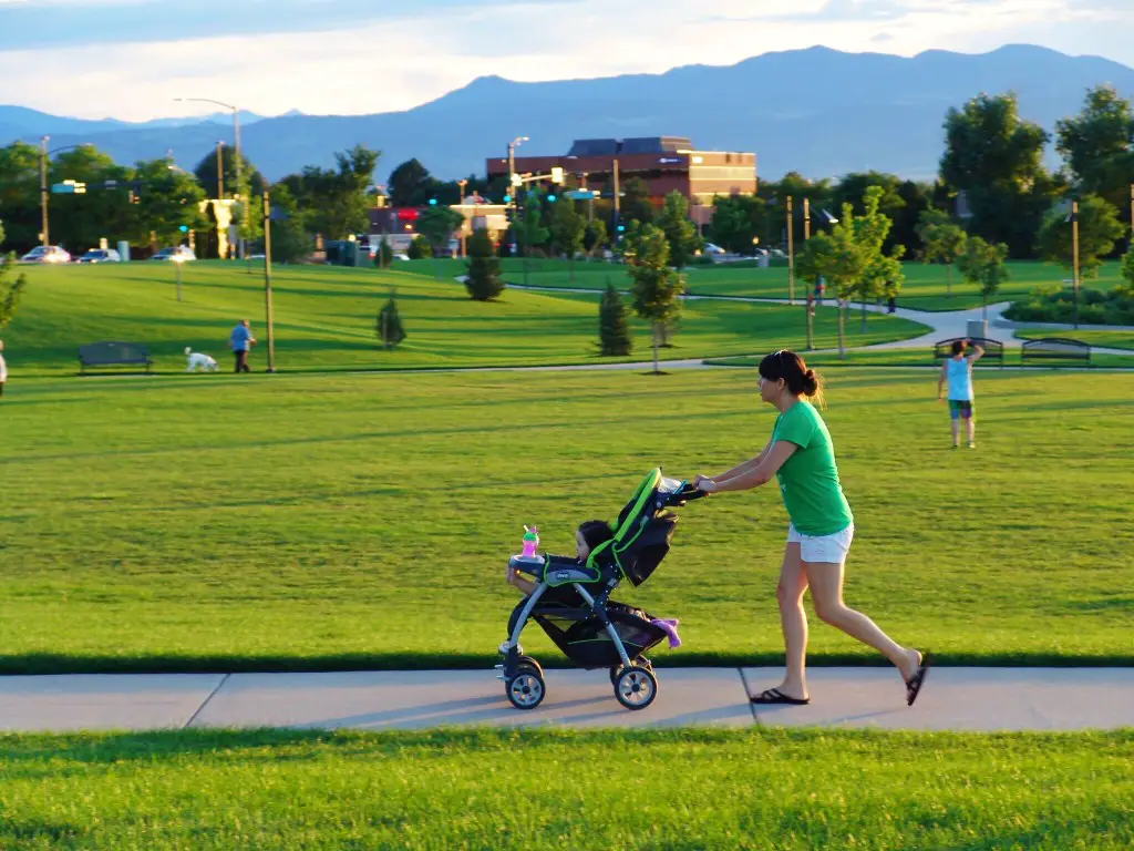 remove buggy board connectors